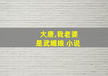 大唐,我老婆是武媚娘 小说